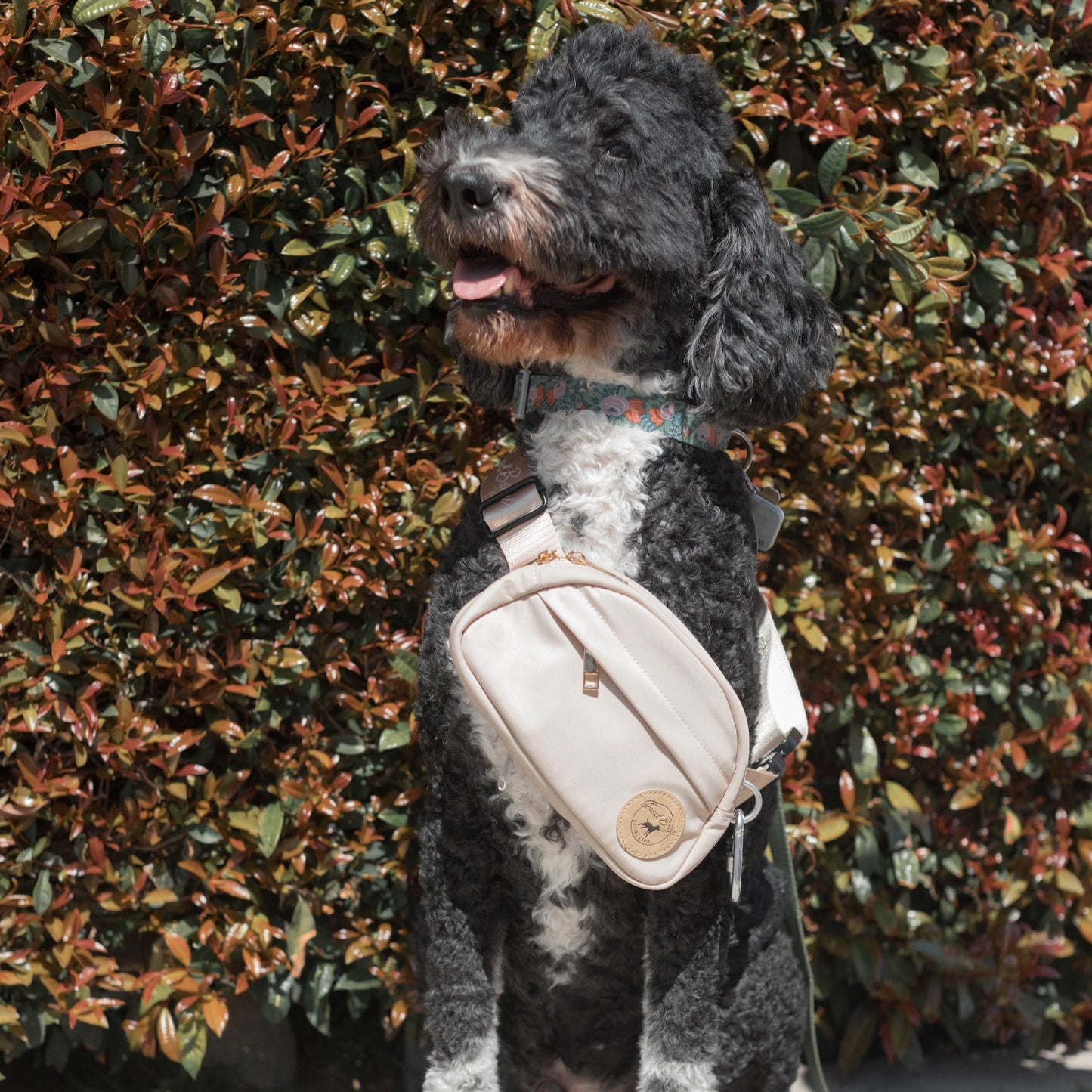 The Good Boys Go Bag