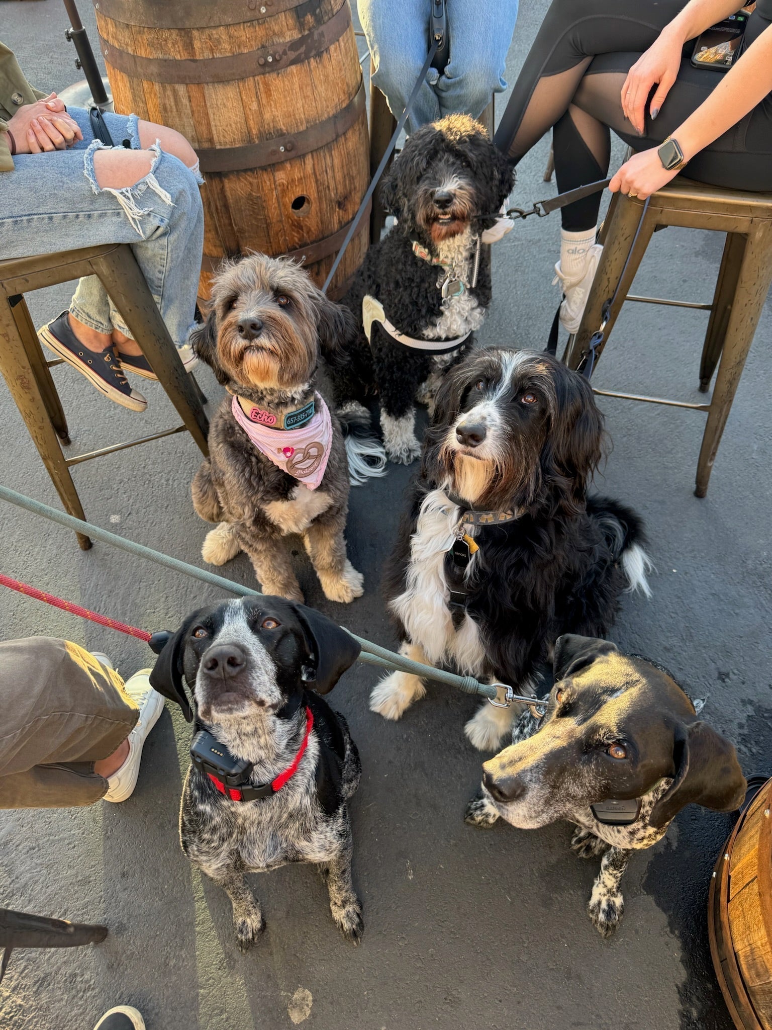 Where Good Boys and Good People Go in Orange County