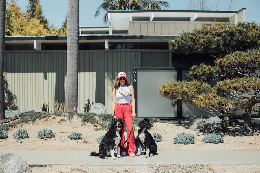 Dog-Friendly Apparel, From People Who Actually Wear It